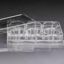 Placa 12 pocillos cultivo esteril